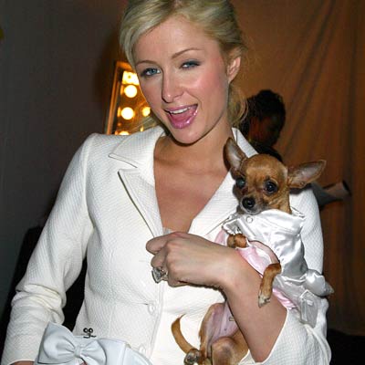 paris-hilton-celeb-pets-400.jpg